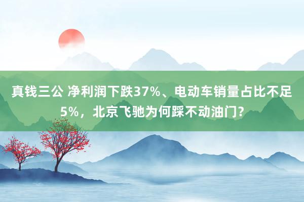 真钱三公 净利润下跌37%、电动车销量占比不足5%，北京飞驰为何踩不动油门？